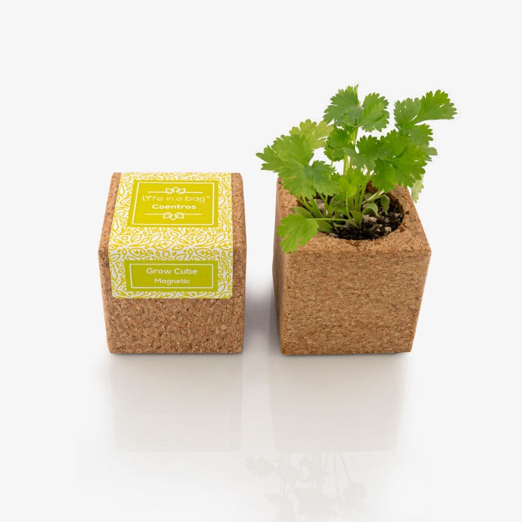 Grow Cube - Coentros - Life in a Bag