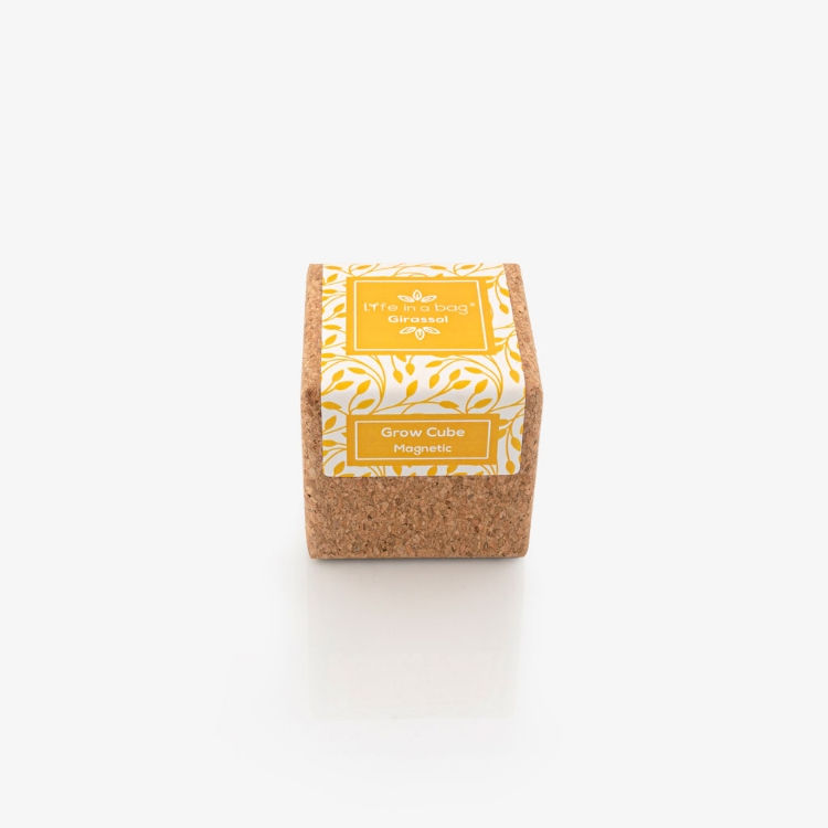 Grow Cube - Girassol - Life in a Bag