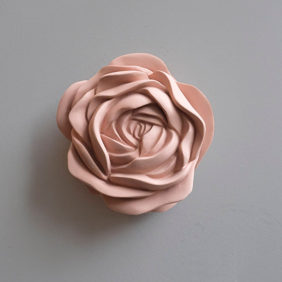 Miniatura: Rosa - Iva Viana