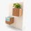 Miniatura: Grow Cube - Hortelã - Life in a Bag