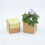 Miniatura: Grow Cube- Amor Perfeito - Life in a Bag