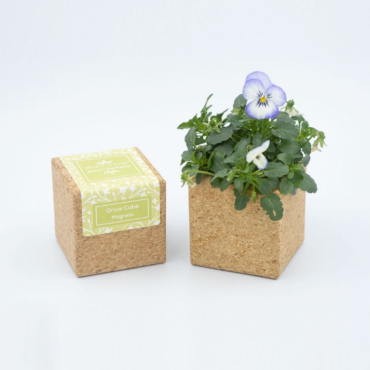Grow Cube- Amor Perfeito - Life in a Bag