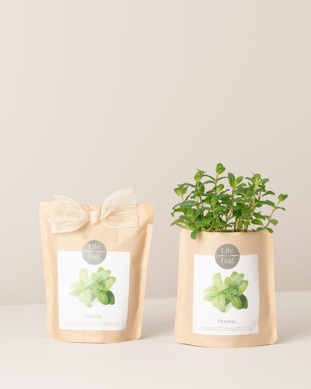 Grow Bag - Hortelã - life in a Bag