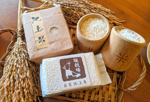 台東覺茶x曬穀場話桑麻工坊-池上稻米-台東小農自種-池上米
