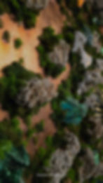 sciana-perspektywa_edited_edited.jpg