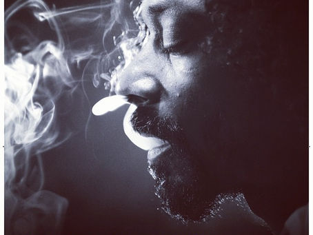 Snoop Lion Reincarnated Album WORK Download Zip