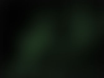 Trinity 039;s Matrix Animated Wallpaper Crack Free