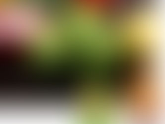 SnailDOS Crack  [Win/Mac]