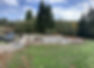 IMG_7245.jpeg