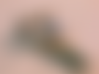 DIVE Into almost monday’s Newest Releases and Latest Successes