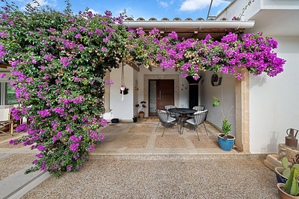 Entrance terrace framed by bougainvillea, Costa de los Pinos villa