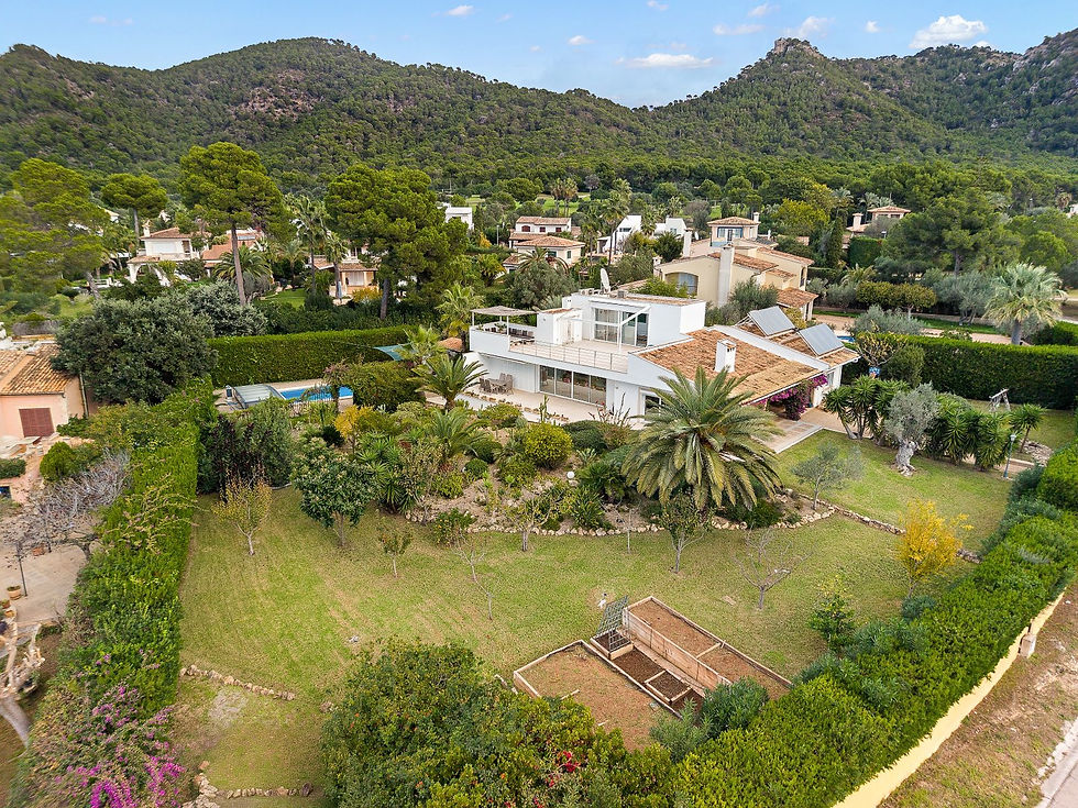 Aerial view of the villa grounds and gardens, Costa de los Pinos