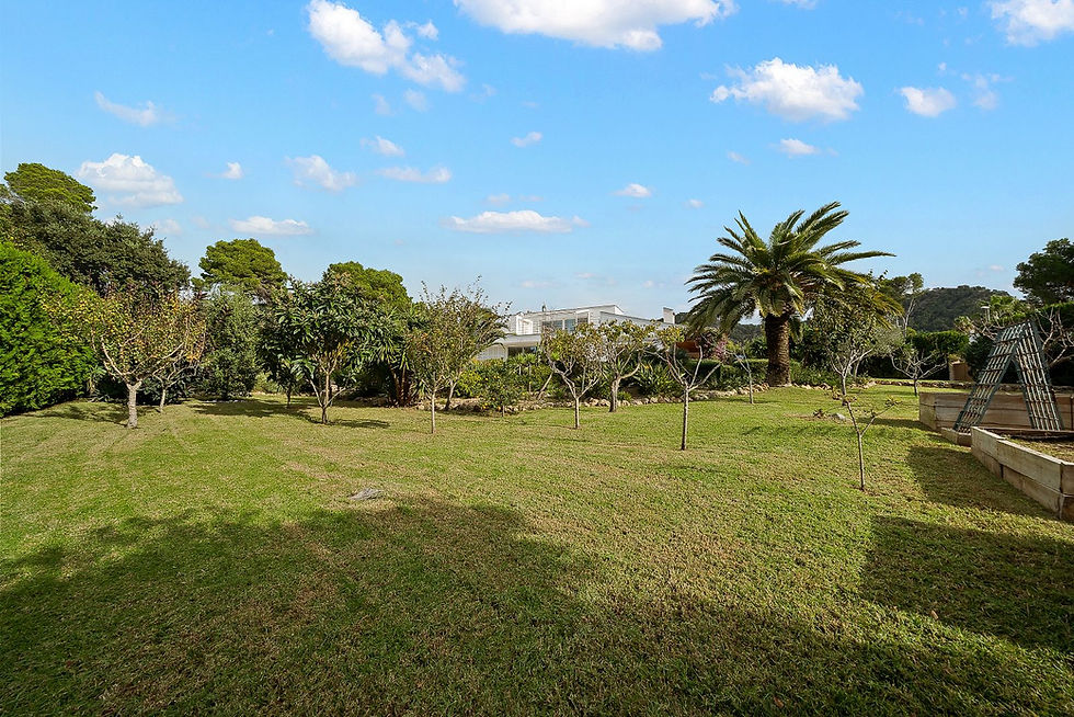 Open lawn with palm trees, Costa de los Pinos villa