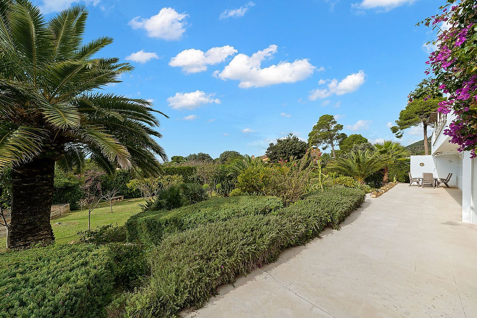 Garden pathway lined with greenery, Costa de los Pinos villa