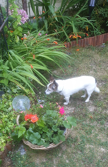 20200809_105932.jpg