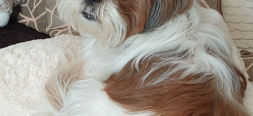 20190618_172339.jpg