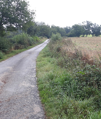 Route de campagne