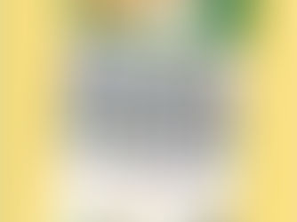 Formalização é destaque da 27ª edição da Revista do Consulado da Mulher