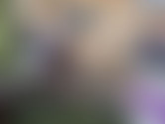 Empreendimento assessorado pelo Consulado da Mulher está na final do Festival de Cucas