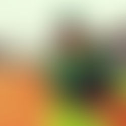 Um dia com Regina Tchelly