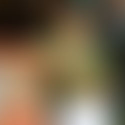 5 Desafios que as Mulheres Empreendedoras Enfrentam (E Como Superá-los)