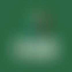 Consulado da Mulher participa da 2ª edição da Feira de Artesanato Mundial