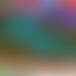 União de Mulheres do Município de São Paulo promove “30 anos de transversalidade dos femininos