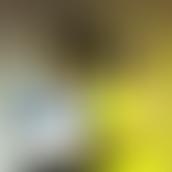 Instituto Consulado da Mulher recebe Medalha Ruth Cardoso