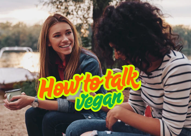 Zwei Frau sitzen nebeneinander. Sie unterhalten sich freundlich und entspannt miteinander. Das Bild enthält auch einen Schriftzug "How to talk vegan".