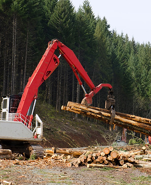 Excavator moving logs in forest