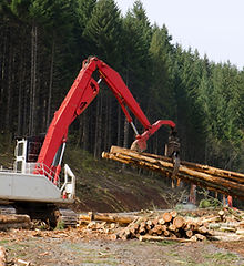 Excavator moving logs in forest