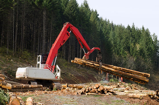 Gravemaskin flytting logger i skogen