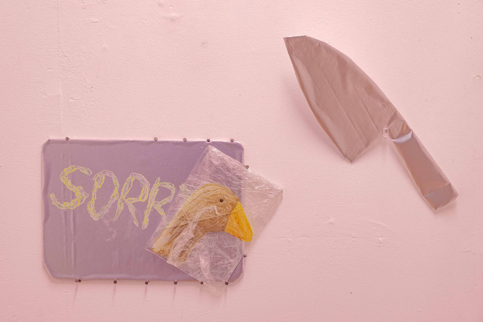 Drawing Installation by Hong Kong UK-based artist Jessie Cheuk Lam Tam Be Friend OK? geese