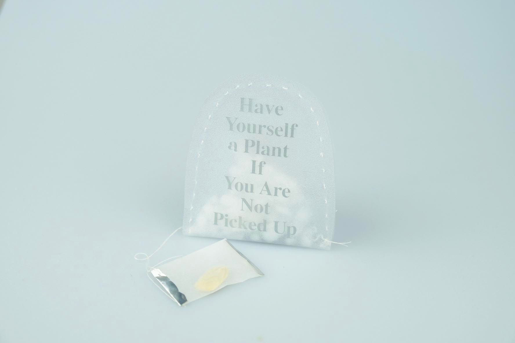 Have Yourself a Plant If You Are Not Picked Up Grave