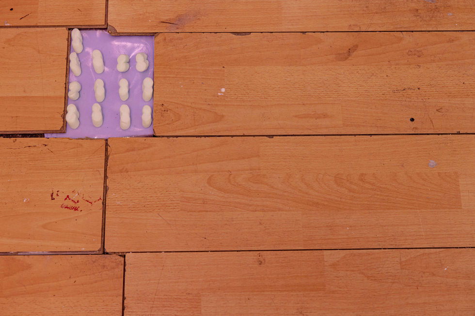 Drawing Installation by Hong Kong UK-based artist Jessie Cheuk Lam Tam Be Friend OK? geese