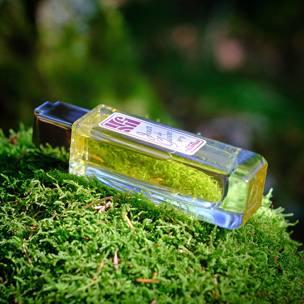 Miniature : JOUR DE GLOIRE No9