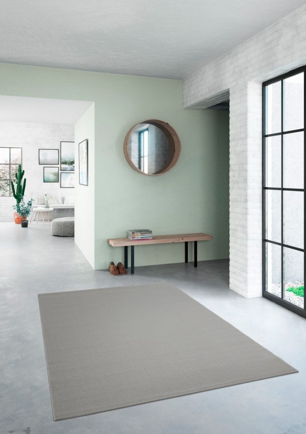 Miniatura: AC - LISA GRIS CLARO - 160X230