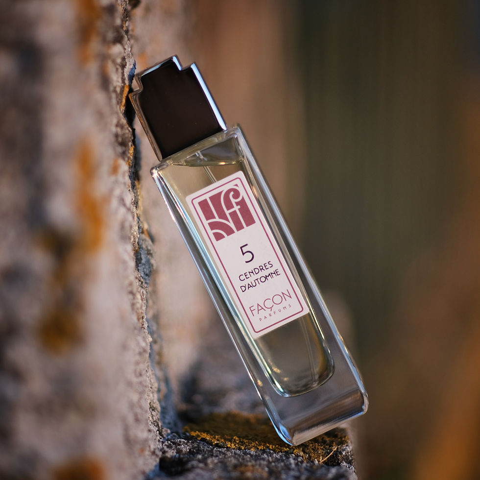Miniature : CENDRES D'AUTOMNE No5
