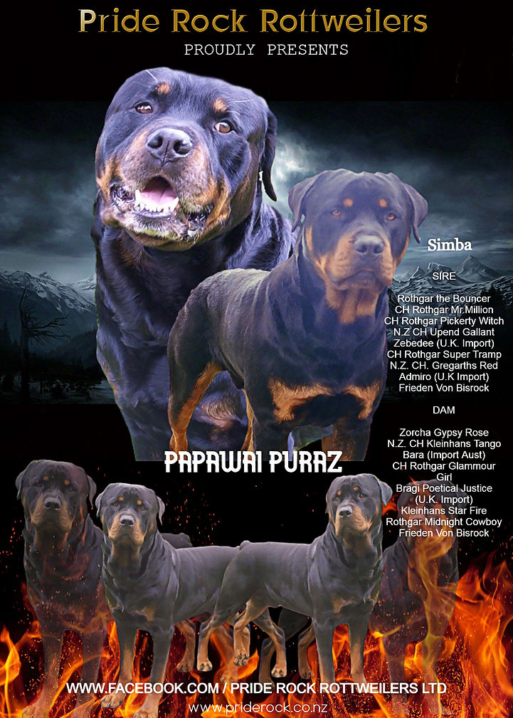 SIMBA-ART-14-2 (1).jpg