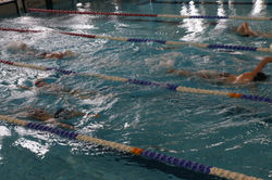 UKS Azaliowa, Gdańsk