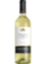PINOT GRIGIO