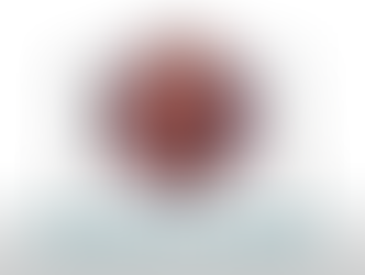 Does an Egg Roll in a Bowl?