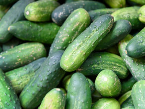How to Buy and Store Cucumbers