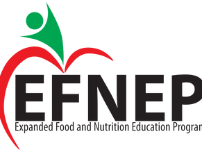 Reducing Wasted Food through Nutrition Education