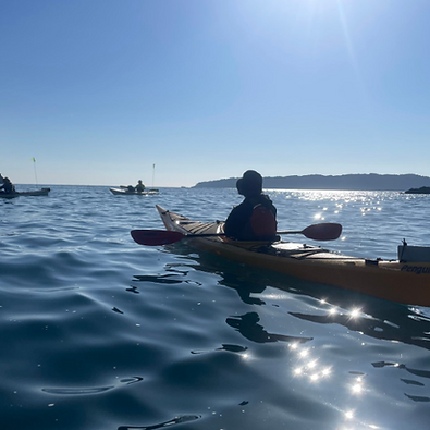 スクリーンショット 2026-02-03 143758.png