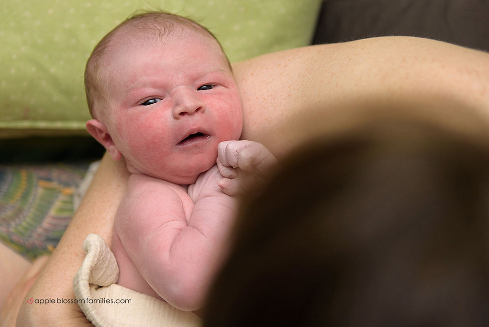 Vancouver Birth Photographer Apple Blossom Families