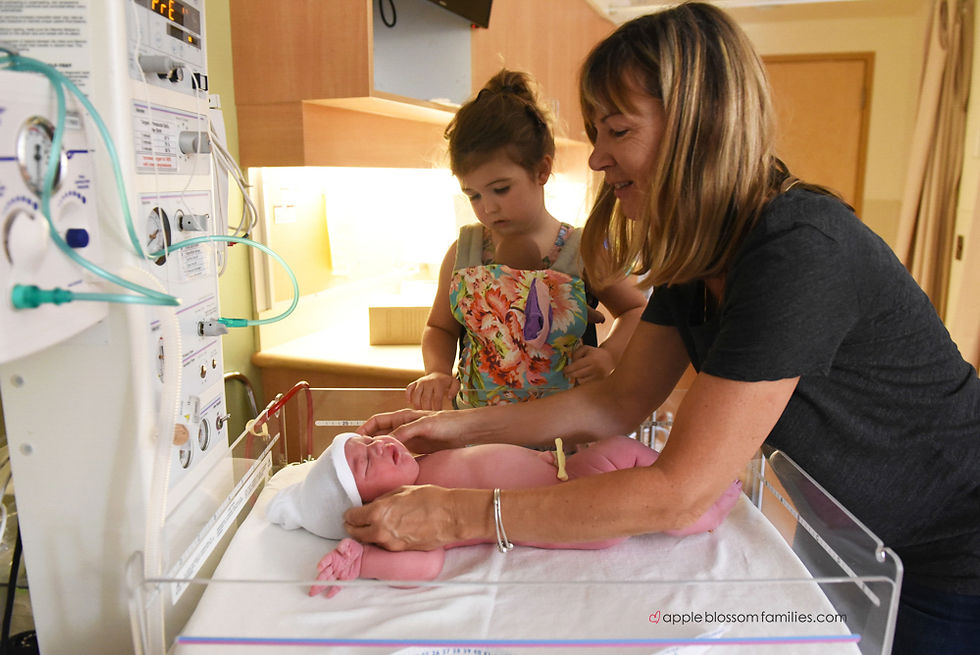 Vancouver Birth Photographer Apple Blossom Families