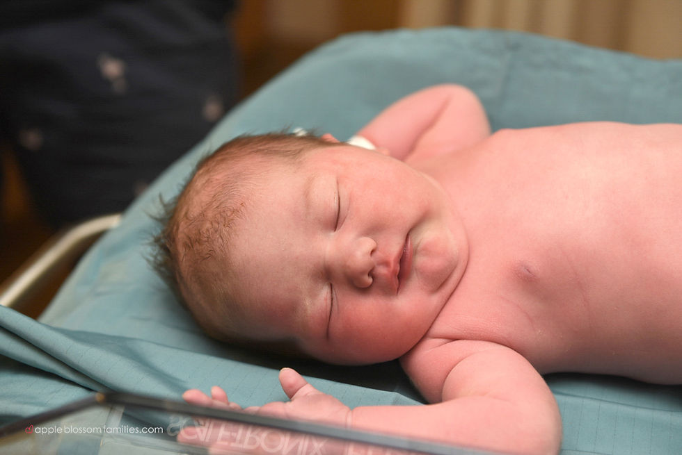 Vancouver Birth Photographer Apple Blossom Families
