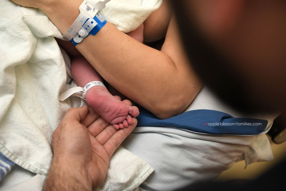 Vancouver Birth Photographer Apple Blossom Families
