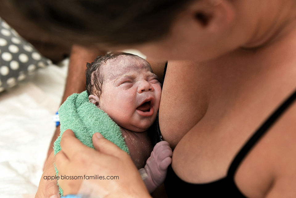 Vancouver Birth Photographer Apple Blossom Families